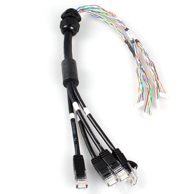 Maak 4 in 1 Katten6a Ethernet Kabel waterdicht, 4 Kabel van de Tak de Mannelijke RJ45 Cat6a Boomstam