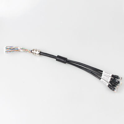 Maak 4 in 1 Katten6a Ethernet Kabel waterdicht, 4 Kabel van de Tak de Mannelijke RJ45 Cat6a Boomstam